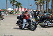 20081012_spibikefest-137.jpg