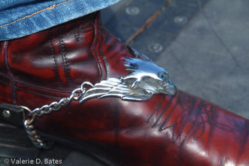 20081011_spibikefest-237.jpg