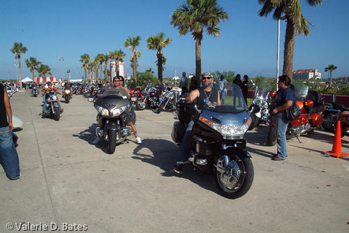 20081011_spibikefest-351.jpg