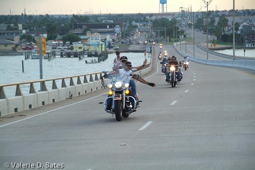 20081011_spibikefest-553.jpg