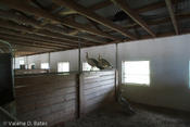 20060815_sanpatricio-24.jpg