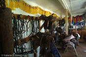 20060815_sanpatricio-26.jpg