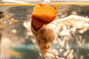 20091013_famtour-103.jpg