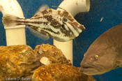 20091013_famtour-104.jpg
