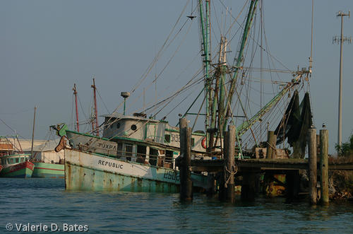 20020501_shrimpboats-100.jpg