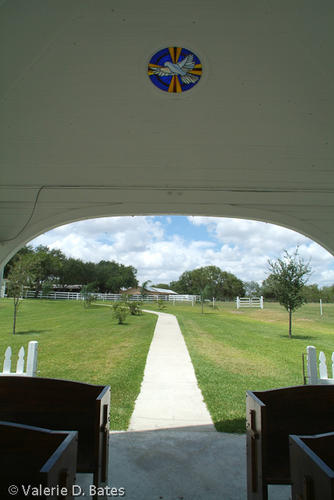 20060815_sanpatricio-42.jpg