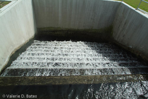 20080208_sb-watertreatment-196.jpg