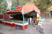 20080503_elcampo-132.jpg