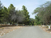20080503_elcampo-165.jpg