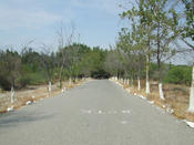20080503_elcampo-167.jpg