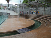 20080504_monterrey-117.jpg