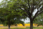 20100420_refugio-54.jpg