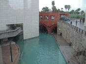 20080504_monterrey-179.jpg
