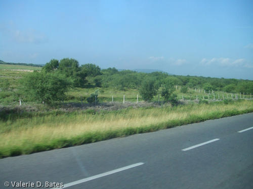 20080613_tamaulipas-102.jpg