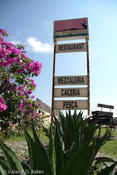 20080613_tamaulipas-104.jpg