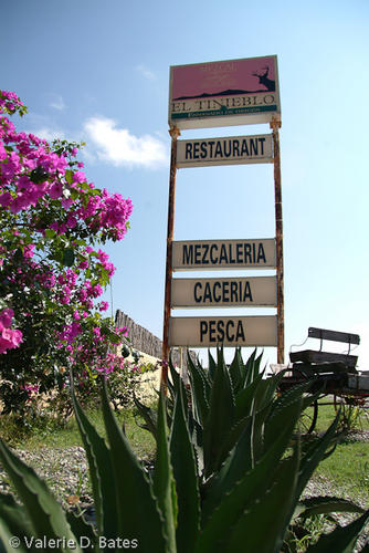 20080613_tamaulipas-104.jpg
