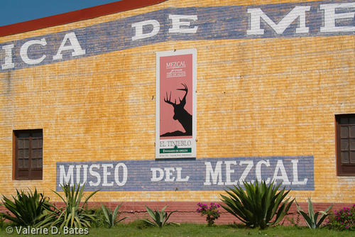 20080613_tamaulipas-123.jpg