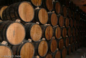 20080613_tamaulipas-124.jpg