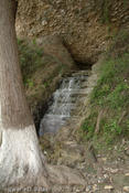 20080613_tamaulipas-205.jpg