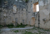 20080613_tamaulipas-248.jpg