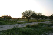 20080613_tamaulipas-265.jpg