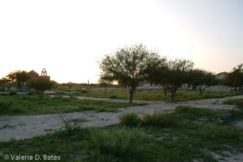 20080613_tamaulipas-265.jpg