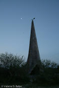 20080613_tamaulipas-271.jpg