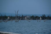 20080613_tamaulipas-278.jpg