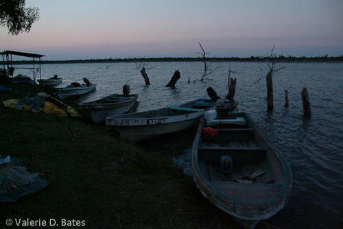 20080613_tamaulipas-281.jpg