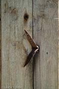 20070918_sanygnacio-54.jpg