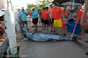 20100730tift_friday-211.jpg