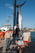 20100730tift_friday-231.jpg