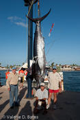 20100730tift_friday-232.jpg