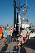 20100730tift_friday-235.jpg