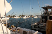 20100730tift_friday-282.jpg