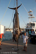 20100730tift_friday-286.jpg