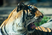 20100929_gpz-435.jpg