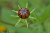 20100420_refugio-62.jpg