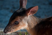 20100929_gpz-508.jpg