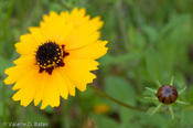 20100420_refugio-63.jpg