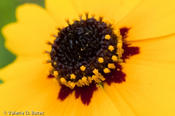 20100420_refugio-64.jpg