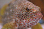 20100921tttr_rockport-fulton-108.jpg
