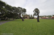 20100921tttr_rockport-fulton-155.jpg