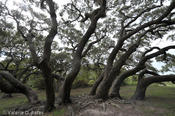 20100921tttr_rockport-fulton-170.jpg