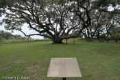 20100921tttr_rockport-fulton-172.jpg