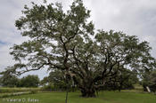 20100921tttr_rockport-fulton-174.jpg