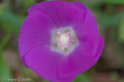 20100420_refugio-65.jpg