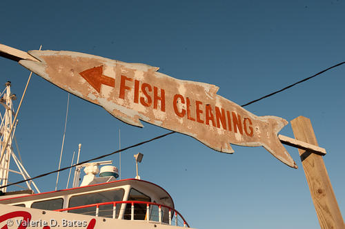 20101018tttr_porta-117.jpg