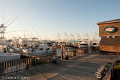 20101018tttr_porta-123.jpg