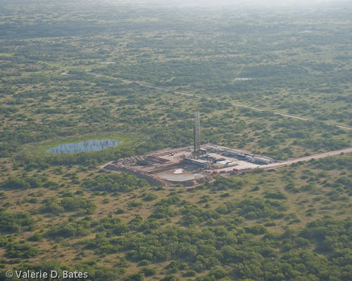 20100820_terra-group-100.jpg